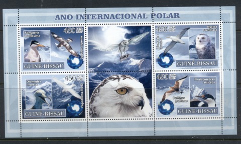 Guinea-Bissau-2007-International-Polar-year_1