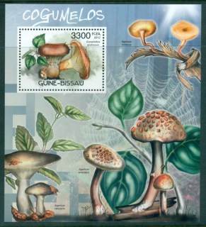 Guinea-Bissau-2012-Funghi