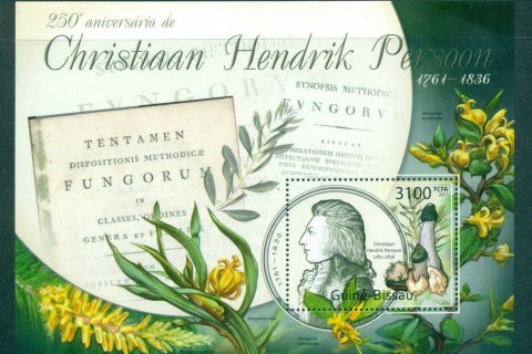 Guinea-Bissau-2011-Funghi