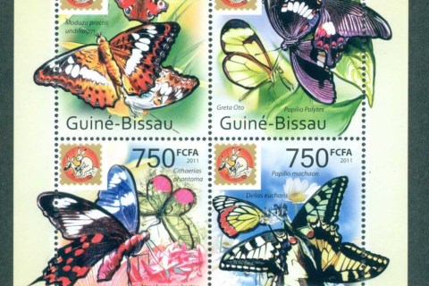 Guinea-Bissau-2011-Insects