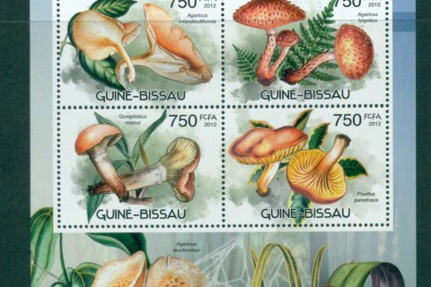 Guinea-Bissau-2012-Funghi