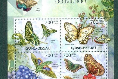 Guinea-Bissau-2012-Insects