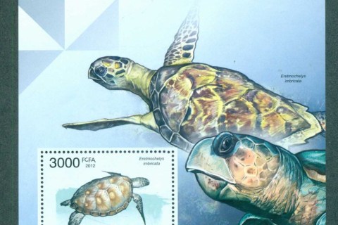 Guinea-Bissau-2012-Reptiles