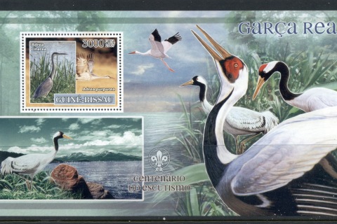 Guinea-Bissau-2007-Birds_6