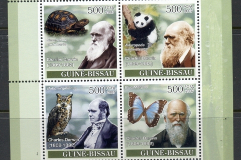 Guinea-Bissau-2007-Charles-darwin-Bird-MS-MUH8