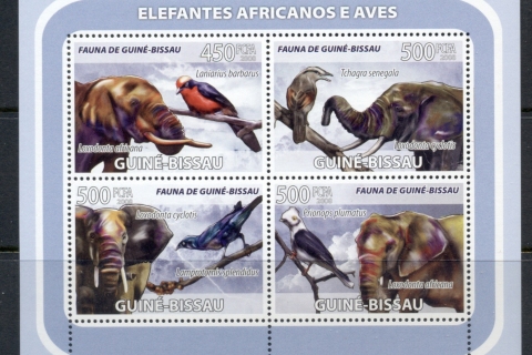 Guinea-Bissau-2008-Elephant