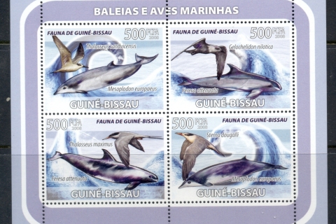 Guinea-Bissau-2008-Marine-Life