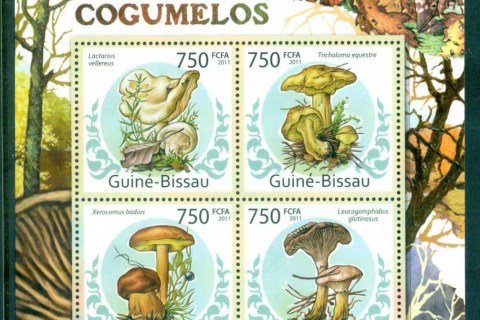 Guinea-Bissau-2011-Funghi
