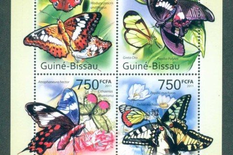 Guinea-Bissau-2011-Insects_1