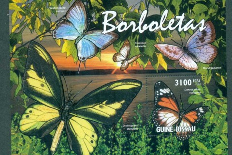 Guinea-Bissau-2011-Insects_2