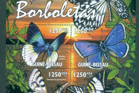 Guinea-Bissau-2011-Insects_3