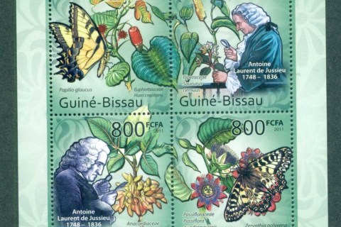 Guinea-Bissau-2011-Insects_5