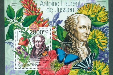 Guinea-Bissau-2011-Insects_6