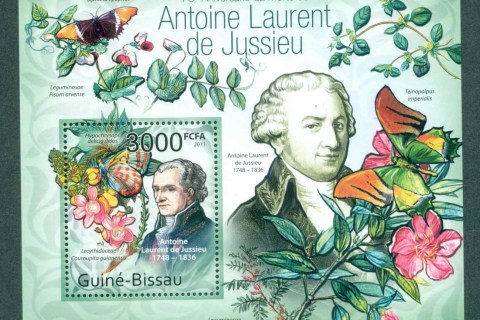 Guinea-Bissau-2011-Insects_7