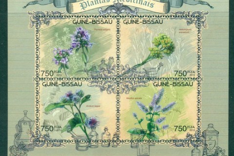 Guinea-Bissau-2012-Flora