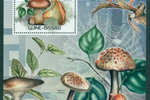 Guinea-Bissau-2012-Funghi