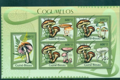Guinea-Bissau-2012-Funghi_3