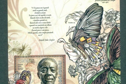 Guinea-Bissau-2012-Insects_2