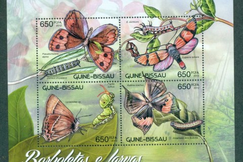 Guinea-Bissau-2012-Insects_3