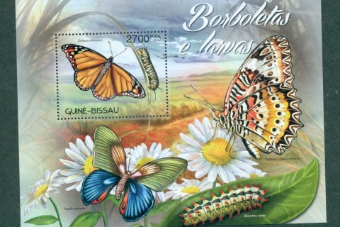 Guinea-Bissau-2012-Insects_4