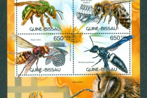 Guinea-Bissau-2012-Insects_5