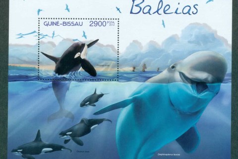 Guinea-Bissau-2012-Marine-Life_2