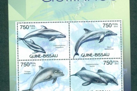 Guinea-Bissau-2012-Marine-Life_3