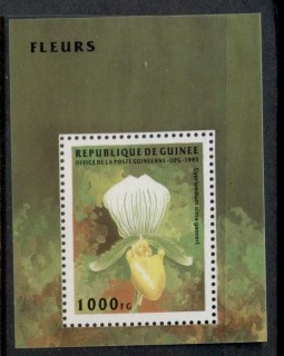 Guinee-1995 Flowers MS