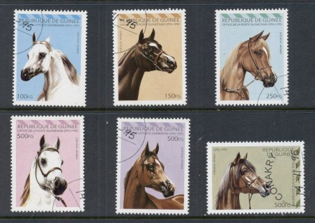 Guinee-1995-Arabian-Horses-CTO