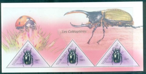 Guinee-2011-Insects_7