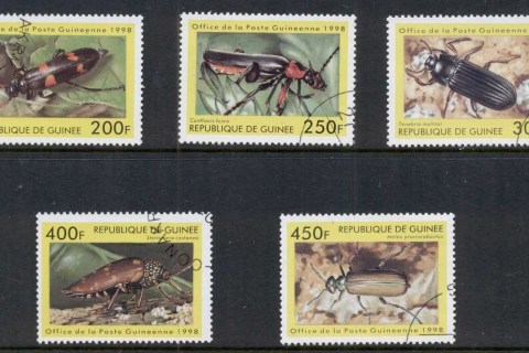 Guinee-1998 Insects Beetles