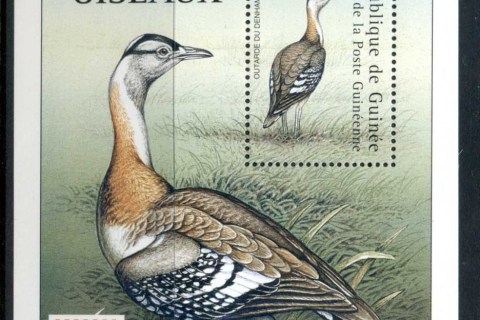 Guinee-2001 Birds, Denham\'s Bustard MS