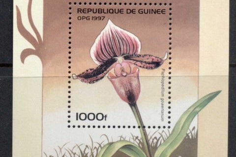 Guinee-1997 Flowers, Orchid MS