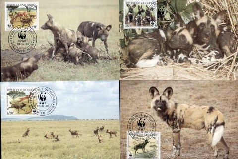 Guinee-1987 WWF African Wild Dog 4xMaxicard