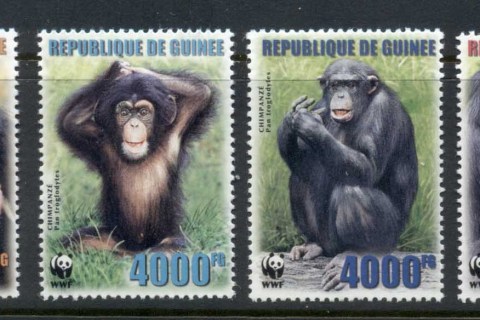 Guinee-2006 WWF Chimpanzee