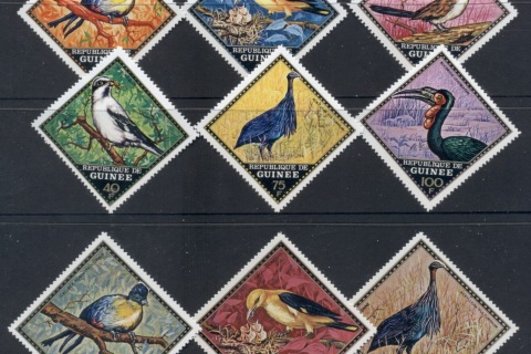 Guinee-1971 Birds