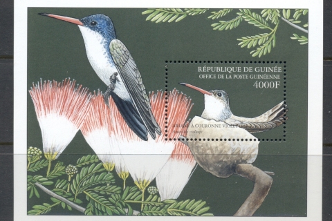 Guinee-2001 Birds, Hummingbirds MS