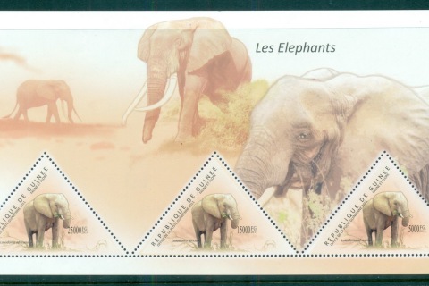 Guinee-2011-African-Wildlife