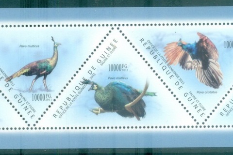 Guinee-2011-Bird