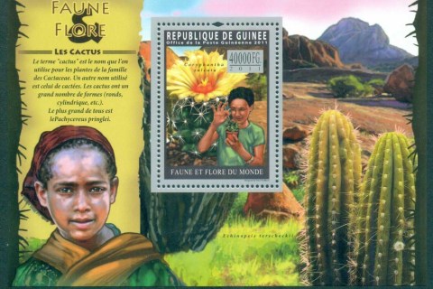 Guinee-2011-Flora