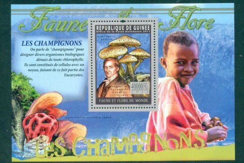 Guinee-2011-Funghi