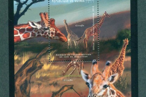 Guinee-2012-African-Wildlife