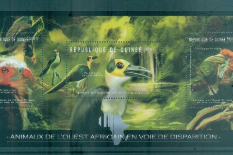 Guinee-2012-Bird