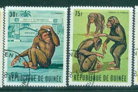 Guinee-1969 Chimpanzees