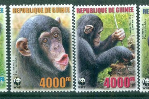 Guinee-2006 WWF Chimpanzee