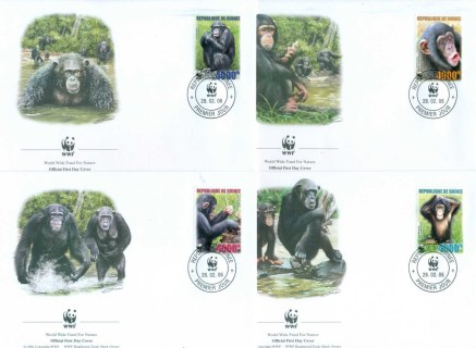 Guinee-2006 WWF Chimpanzee