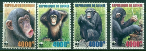 Guinea-2006-WWF-Chimpanzees-MUH