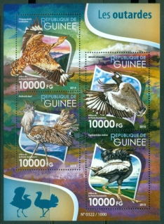 Guinea-2017c-Birds-Bustards-MS-MUH