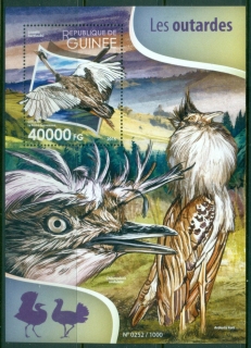 Guinea-2017c-Birds-Bustards-MS-MUH_1