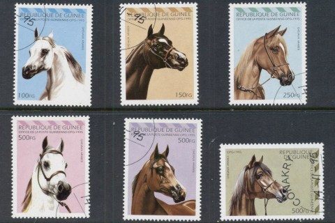 Guinee-1995-Arabian-Horses-CTO